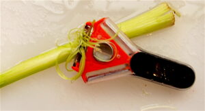 Joseph Joseph Tri Peeler and Celery Stalk